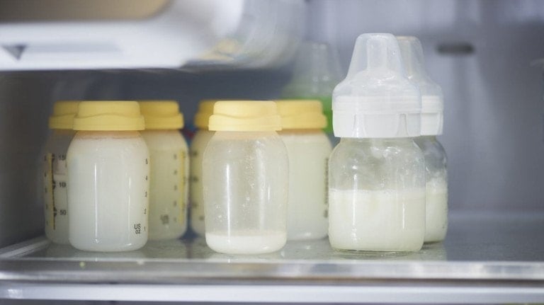 Several baby bottles filled with milk, including hindmilk, are stored inside a refrigerator. Most of the bottles have yellow lids, while one has a white nipple attachment. The bottles are placed on a clear glass shelf within the fridge.