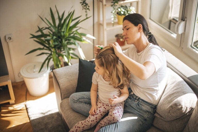 A woman sits on a sofa, combing the hair of a young girl sitting on her lap, thoughtfully checking for lice eggs vs. dandruff. The room has a large plant in the background, and sunlight streams in through the window. Both are dressed casually in comfortable clothes.