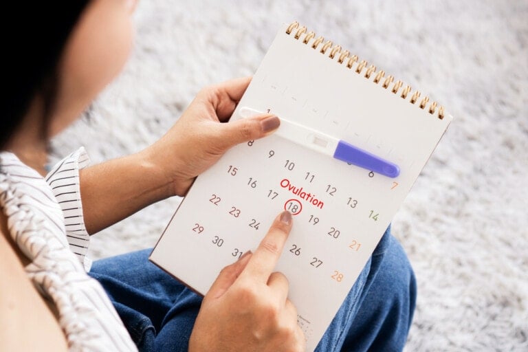 A person holds a calendar open to the month of November, with the 18th circled in red and labeled "Ovulation." They point to the date with one hand while holding a home ovulation test, checking for signs of ovulation, with the other. The person is sitting on a fuzzy, gray carpet.